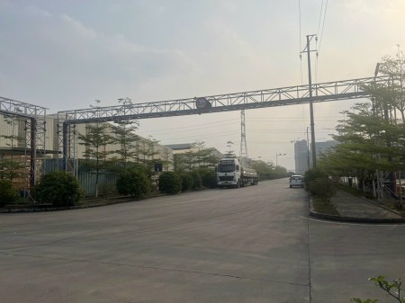 Đi đến slide 8