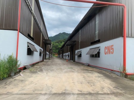 Đi đến slide 6