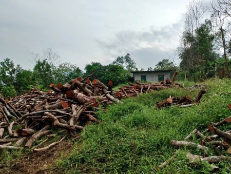 Đi đến slide 4