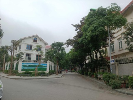 Bán biệt thự đặc biệt siêu vip tại Làng Việt Kiều Châu Âu - Mỗ Lao - Hà Đông - Hà Nội.
