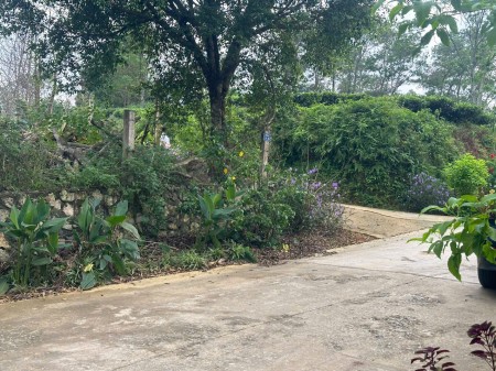 Bán đất nghỉ dưỡng ven đô tại Ba Vì từ 1000m2 - 70.000m2 giá chỉ từ 1,2tr/m2