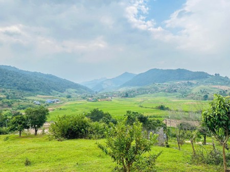 Bán mảnh đất rộng 700m2 có thể lên Full ONT giá chỉ 1 tỷ 