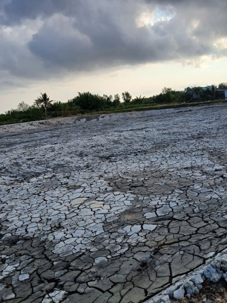 Bán đất lúa 1000m2, thích hợp làm nhà vườn nghỉ dưỡng, giá 780tr