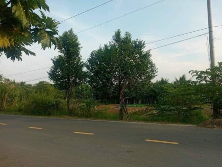 Bán đất 100% thổ cư mặt tiền đường Trương Vĩnh Nguyên, Phú Thứ, Cái Răng, Cần Thơ.