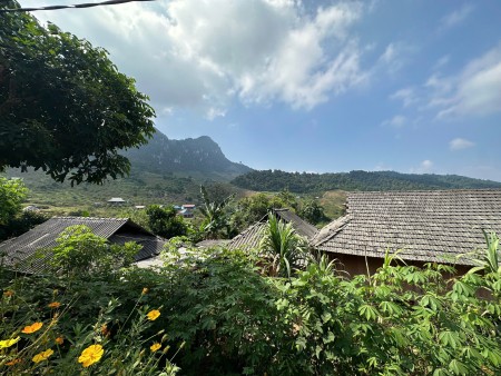 Lô đất Mộc Châu siêu phẩm phù hợp làm Homestay, coffee check in, nghỉ dưỡng
