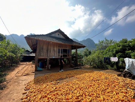Đi đến slide 6