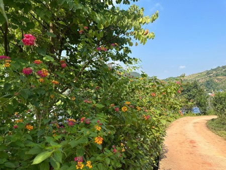 Đi đến slide 4