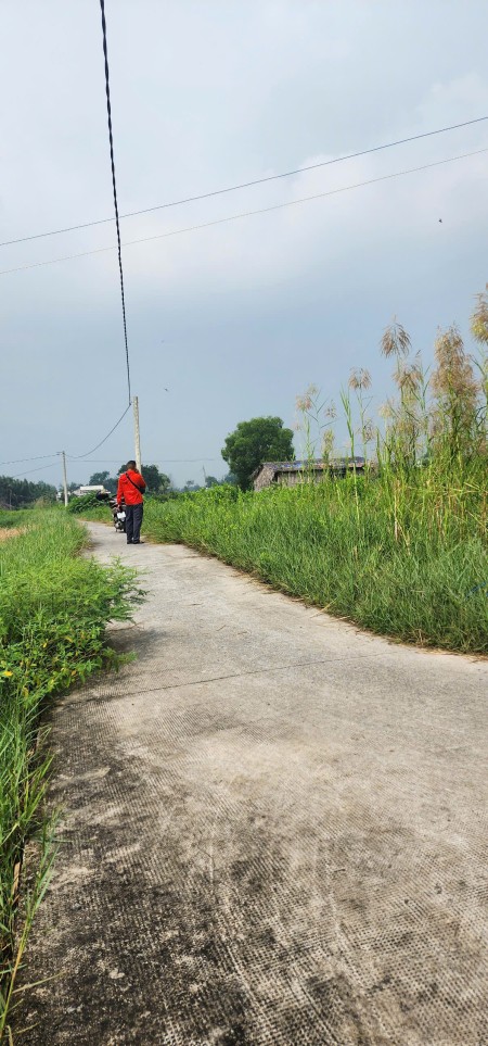 Đi đến slide 4