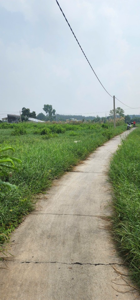 Bán đất 2 mặt tiền gần khu công nghiệp Long Hậu