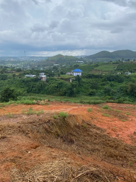 Đi đến slide 12