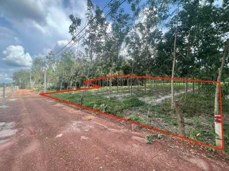 Bán đất Đường ĐT 749A, Xã Minh Thạnh, Dầu Tiếng, Bình Dương diện tích lớn giá tốt