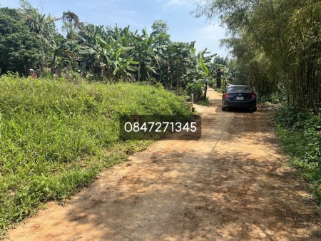 Bán đất giá rẻ tại Thị Xã Quảng Trị,