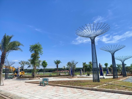 Đi đến slide 5