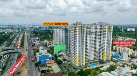 Đi đến slide 12