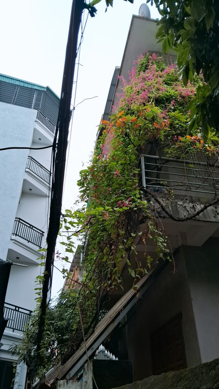 Họp chợ Bán nhà cấp tốc, Ngọc Trục nhà mới kính coong, nội thất lung linh 7 tỷ, 42m 5 tầng