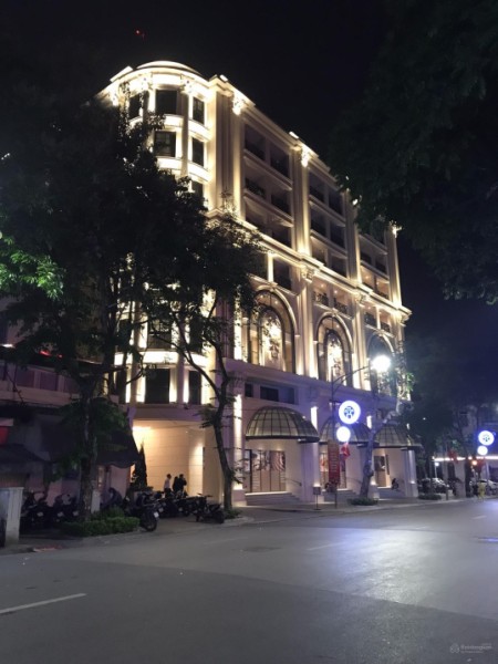 Bán nhà mặt phố tại phường Phan Chu Trinh, Hoàn Kiếm, Hà Nội diện tích 800m2 MT quá lớn 0793059989
