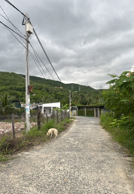 Như Hà