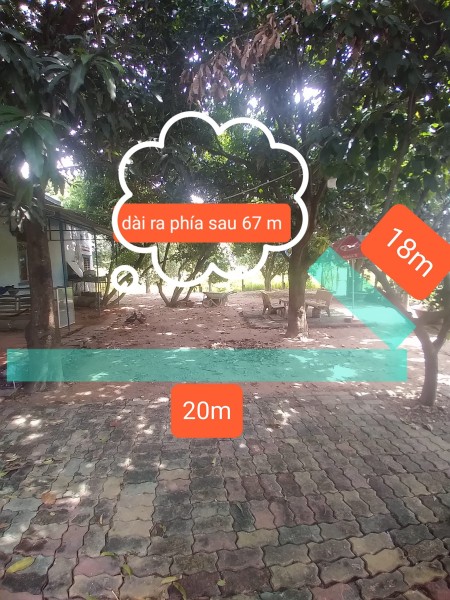 Cho thuê đất giá rẻ, tiện kinh doanh đa nghành, vị trí trung tâm TP Thủ Dầu Một