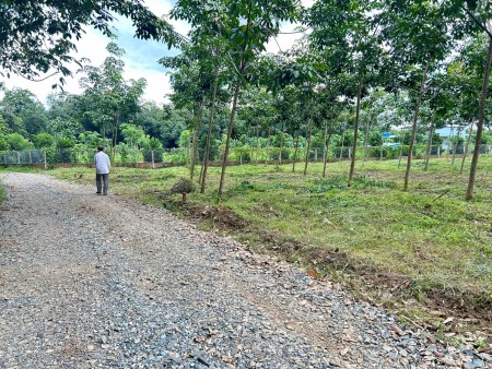 Bán 1.480M2 Đất Sào Có Thổ Cư Sẳn liền kề, Giá 225 Triệu, Đã Tách Làm 3 Sổ, Sát Nhựa, Gần Chợ