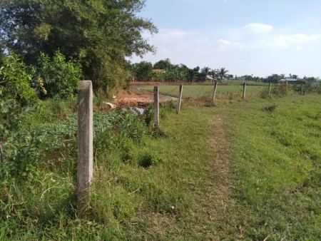 Chính chủ bán 3 lô đất nông nghiệp, diện tích 1.662 m2, đường hiện trạng 6m, giá 700 triệu