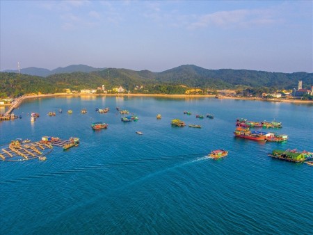 Đi đến slide 3