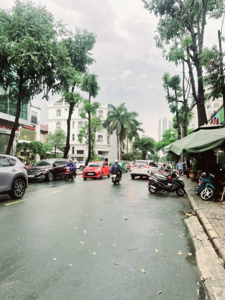 Cho thuê nhà phố Phạm Thái Bường, Phú Mỹ Hưng, Phường Tân Phong, Quận 7, Hồ Chí Minh