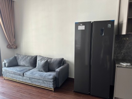 Cho thuê căn hộ 1pn 1w tại Vinhomes ocean Park