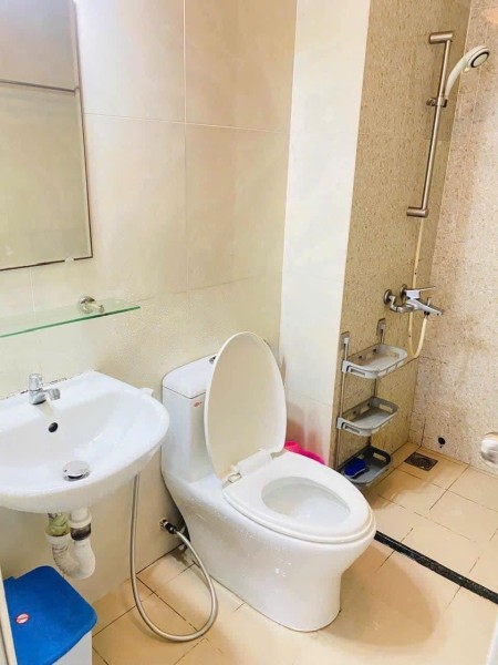 Cho thuê chung cư Topaz Trịnh ĐÌnh Thảo, Tân Phú: 57m2, 2pn, 2wc 9tr5/th