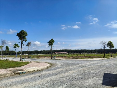 Đi đến slide 10