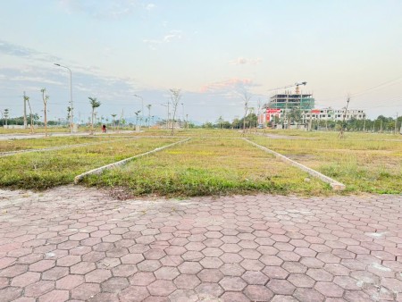 Bán đất đấu giá thôn Bạch Đa, Kim Hoa, Mê Linh, HN. Gần đường Vành Đai 4. DT 110m, giá 5,1 tỷ.