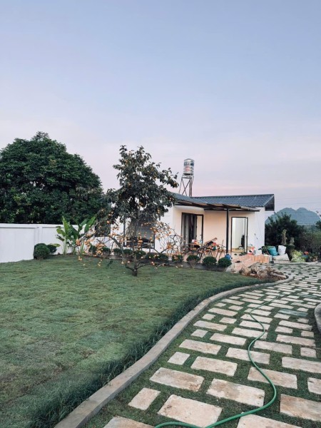 Bán homestay Mộc Châu view đồi chè cực hot