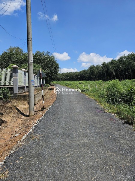 Gia đình vợ chồng chị em cần bán lại 2 lô đất liền kề diện tích 500m2 có 200m2 thổ cư giá ngộp