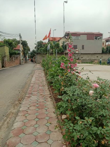Bán đất Dương Khuê, Gia Lâm. MT 11M DT ~177m2 giá 2.3T
