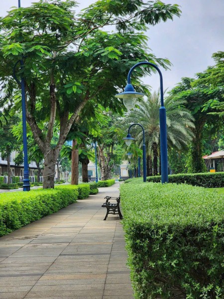 Đi đến slide 6