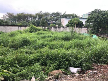 Bán Đất Sổ Riêng 106m2 ngay Chợ Thành Nam P. An Phú, Thuận An