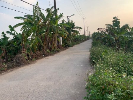 Ngõ thông nhất Cự Khối, Long Biên, ngõ to như phố, thoáng sáng, đường ô tô tránh đỗ cửa vào đất