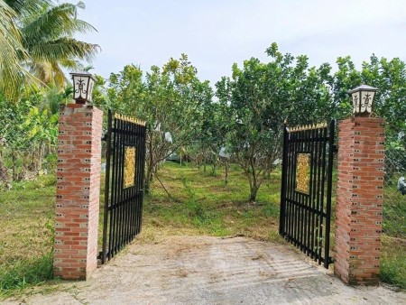 Nhà chị tư cần sang lại miếng vườn đẹp giá rẻ chỉ 480 triệu, diện tích Vườn rộng 1100m2