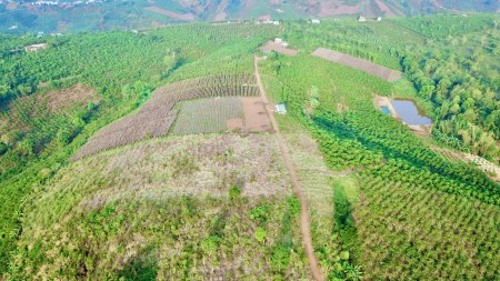 Cơ Hội Vàng Mua Lô Đất 250tr/xào Tại Tân Thượng – Di Linh!