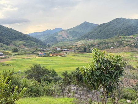 Đi đến slide 2
