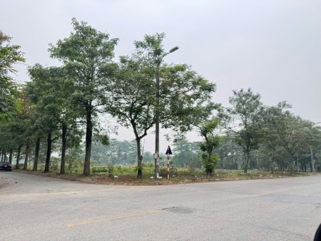 Bán 132m lô góc đất Tiền Phong, Mê Linh, HN. Cách trường ĐH Tài Chính-Ngân Hàng 800m.