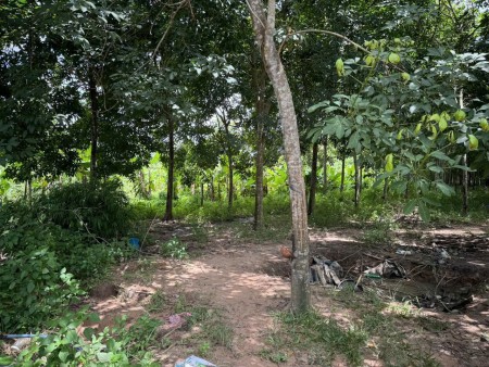 Đi đến slide 8