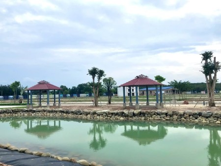 Đi đến slide 3