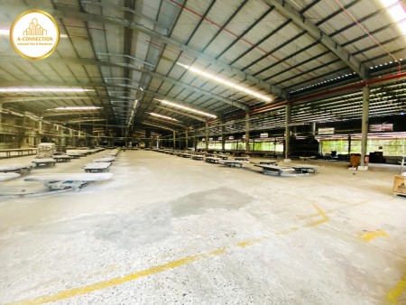 Hot - Kho Xưởng đẹp, đầy đủ tiện nghi tại Long Bình, Biên Hòa, Đồng Nai cho thuê