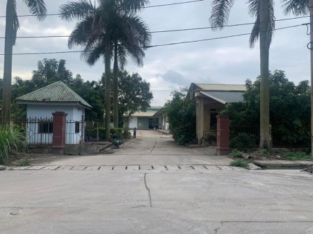 Chính chủ cần bán hoặc cho thuê nhà xưởng. Địa chỉ: Cụm CN SỐ 2, P. Tân Lập, TP Thái Nguyên