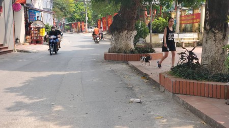 Siêu hiếm, lô góc, 2 mặt tiền rộng, kinh doanh tốt. DT 33m², mặt tiền 5,1m, chỉ 6,9 tỷ LH 0834180368