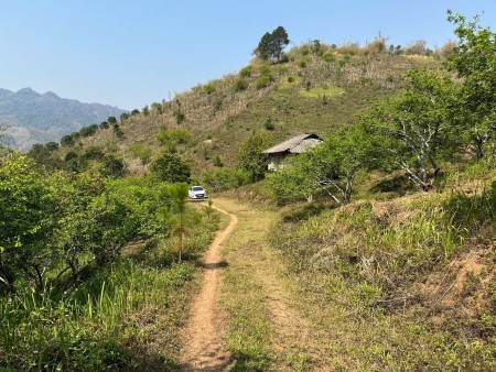 Bán đất tặng nhà sàn, 3ha có 400m2 ONT tại TT Mộc Châu (Sẵn sổ sang tên)