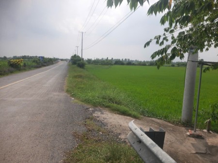 Bán gấp 4.170m2 đất MT đường tỉnh 872B, xã Long Bình, Gò Công Tây Tiền Giang. Có 2.000m2 thổ, 6,65tỷ