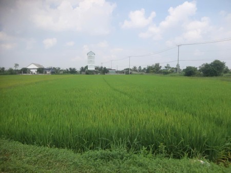 Đi đến slide 5