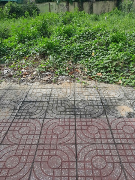 Đi đến slide 7