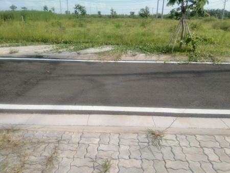 Bán nền tdc Phú Thuận huyện Bình Đại tỉnh Bến Tre